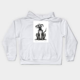 Homeless dog Kids Hoodie